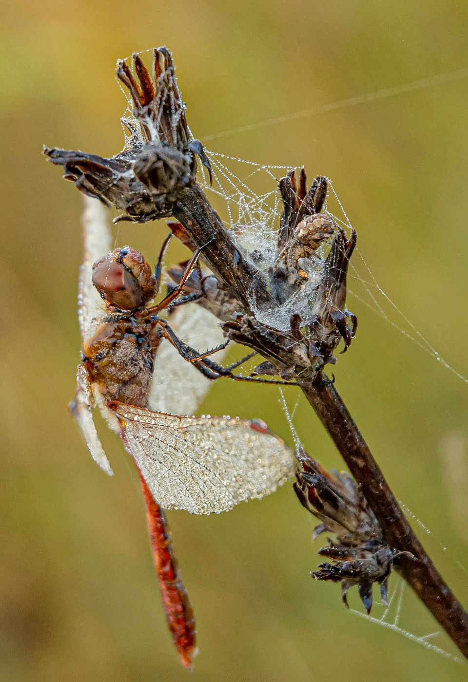 по соседству