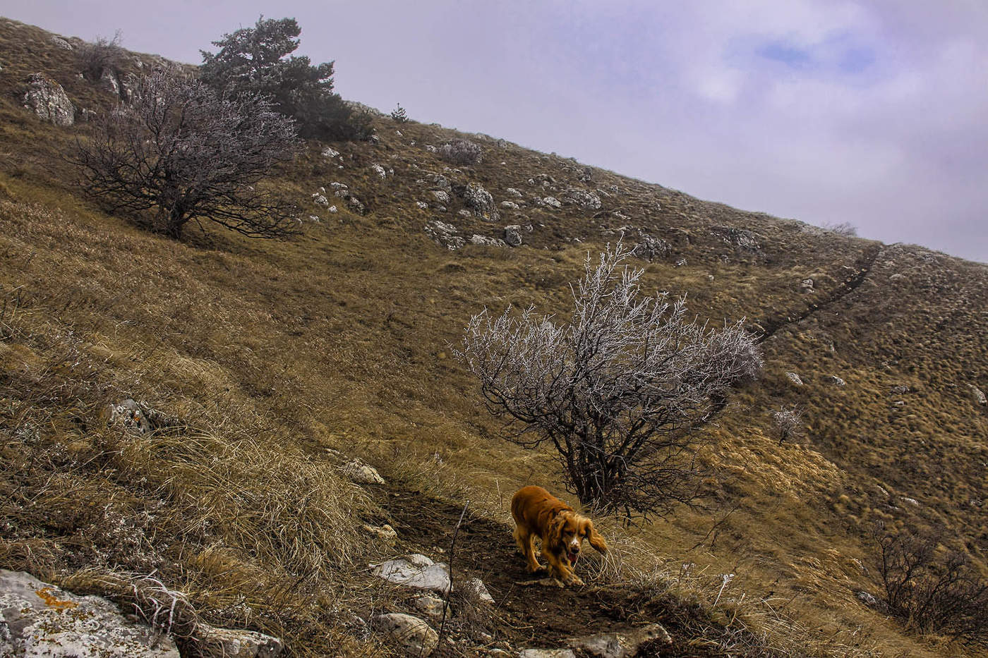 На горной тропе