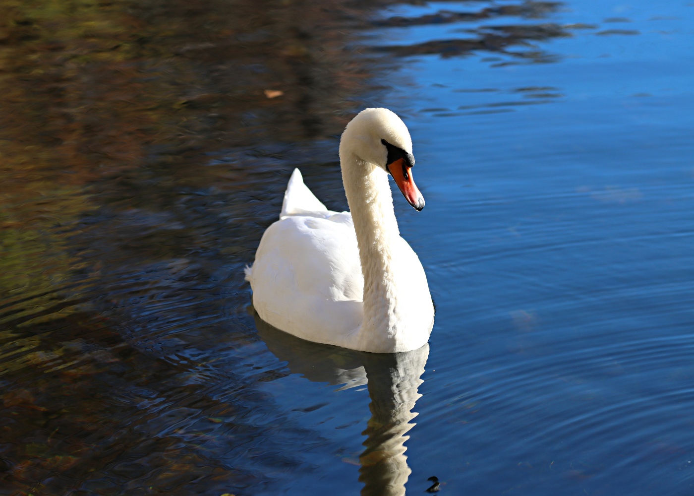 На Патриаршем пруду