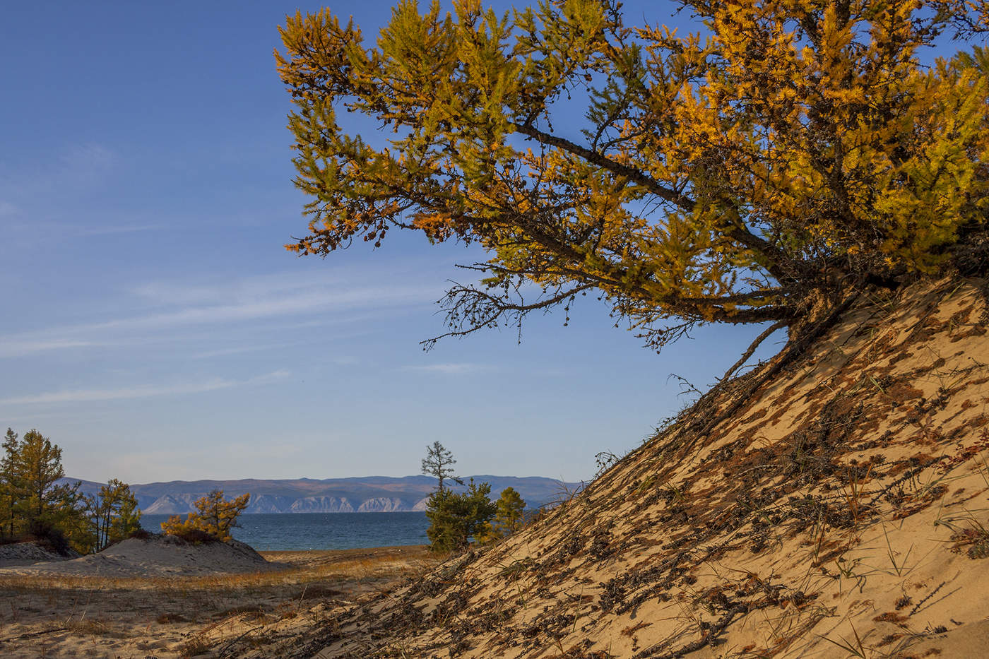 Берега Ольхона