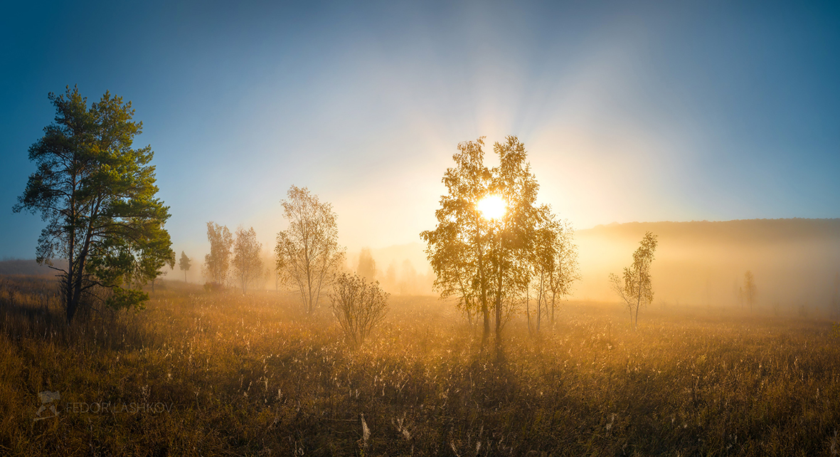 Новый день!