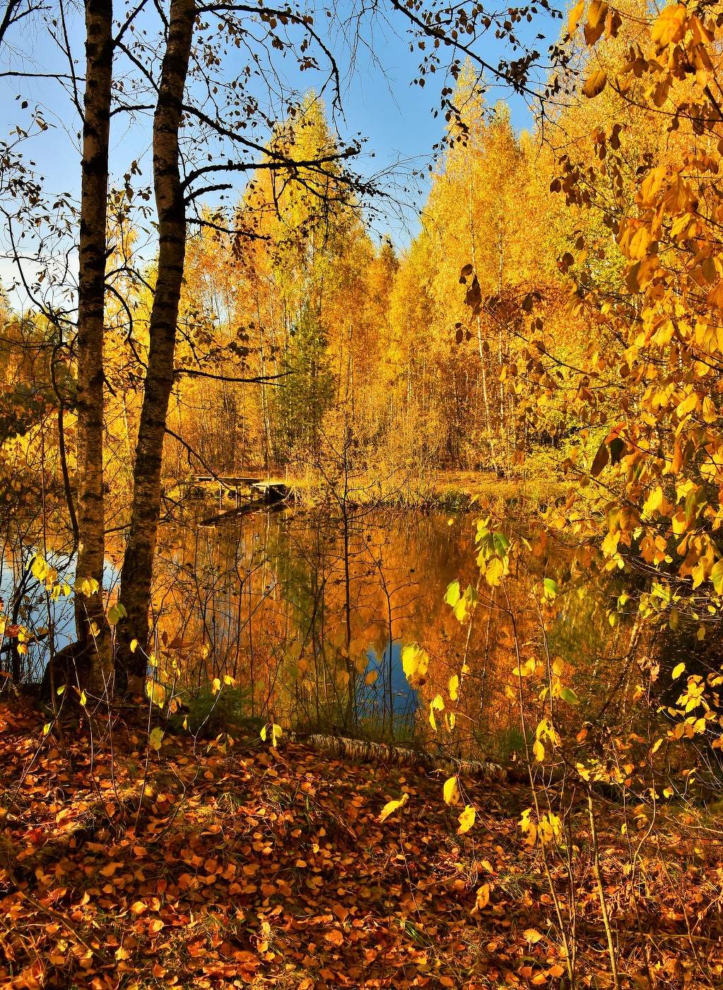 "В поблекших красках увяданья ..."