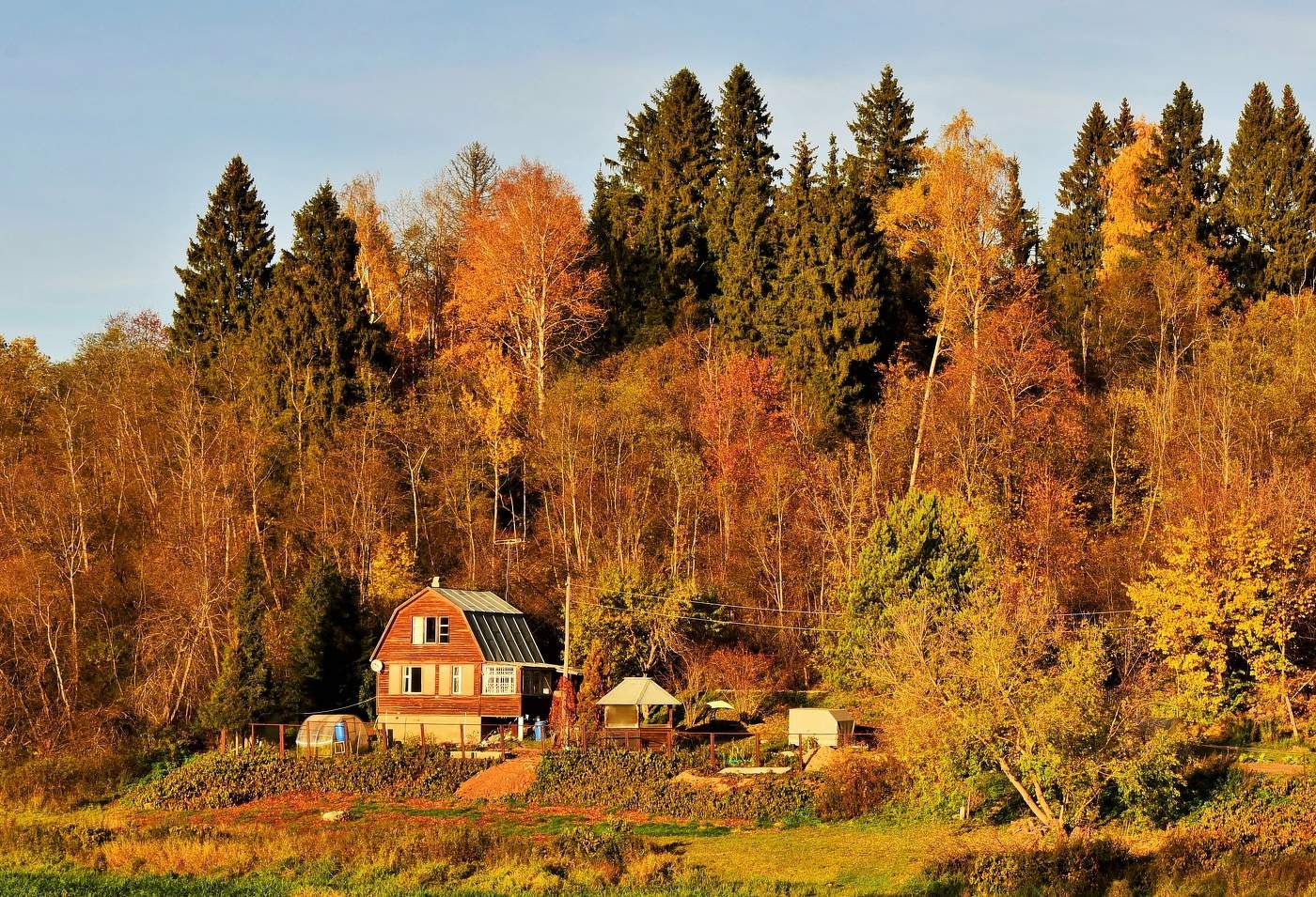 "Хочу дом в одиноком лесу ..."