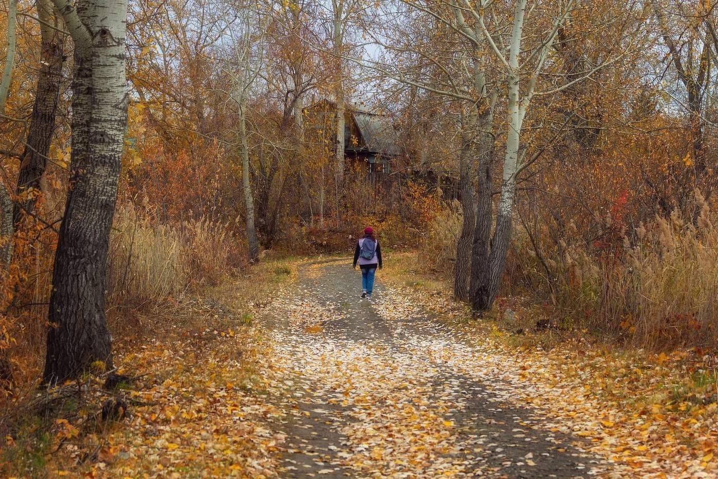 уходящая осень