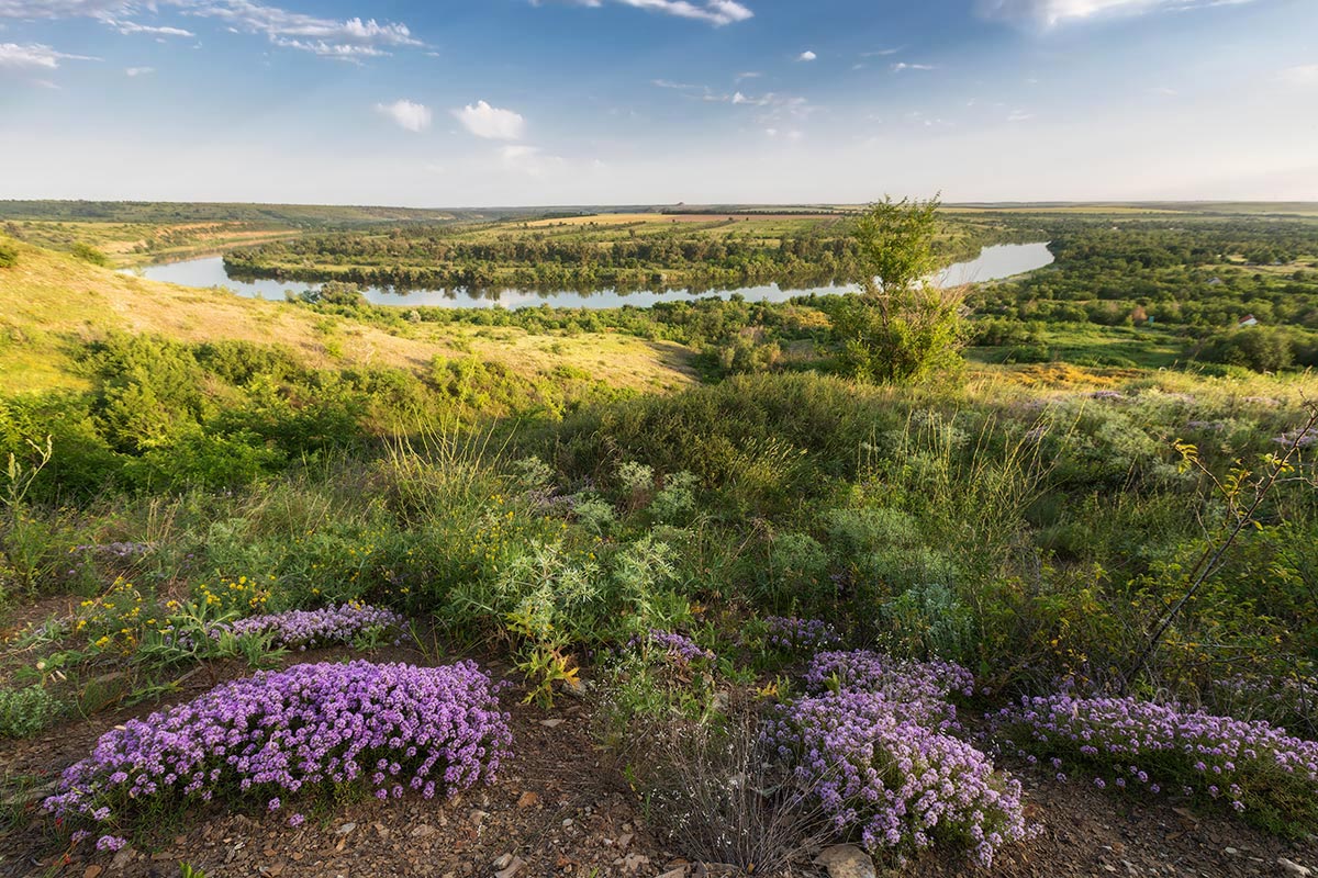 Чабрец и Донец