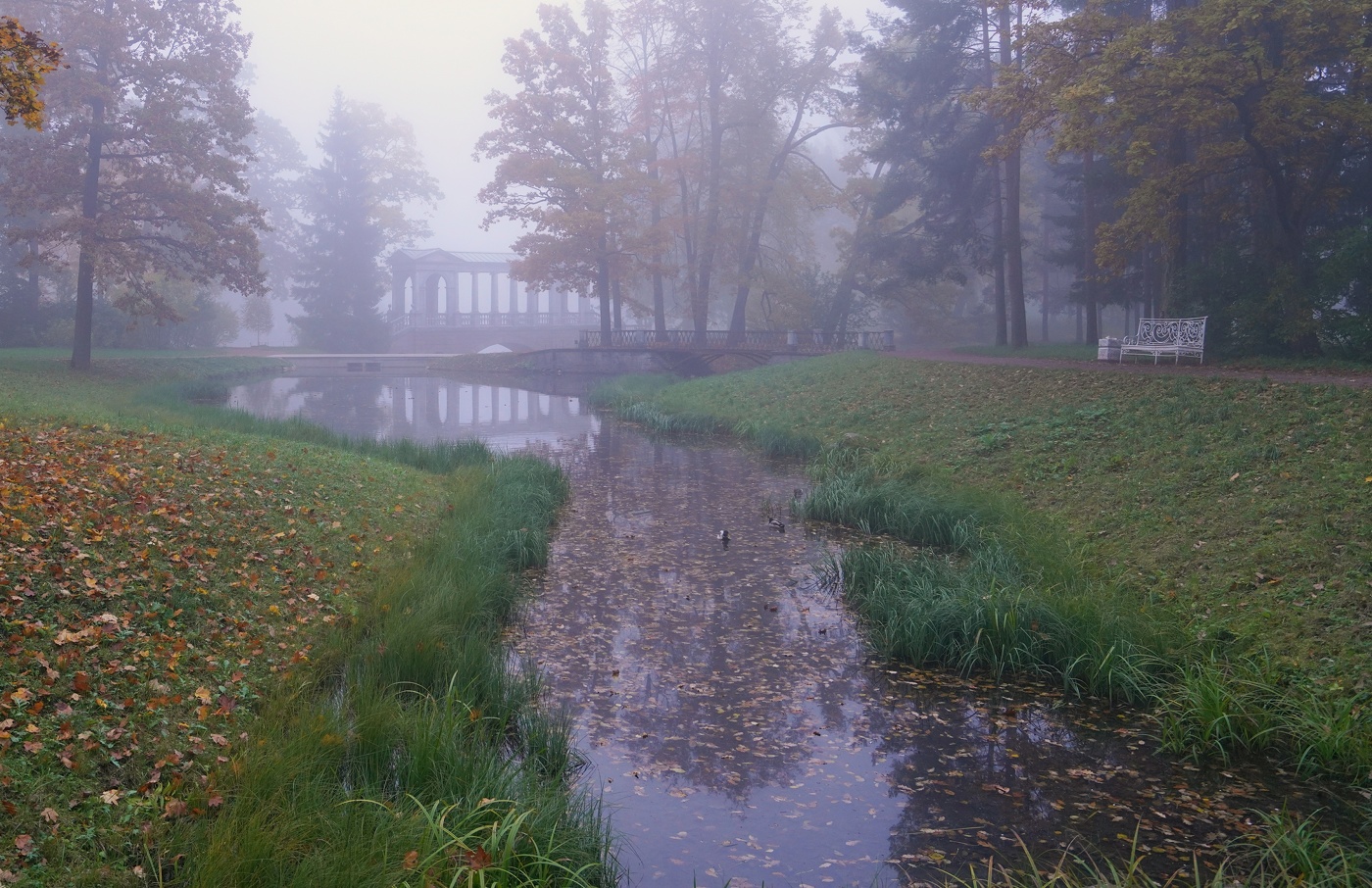 Осеннее утро