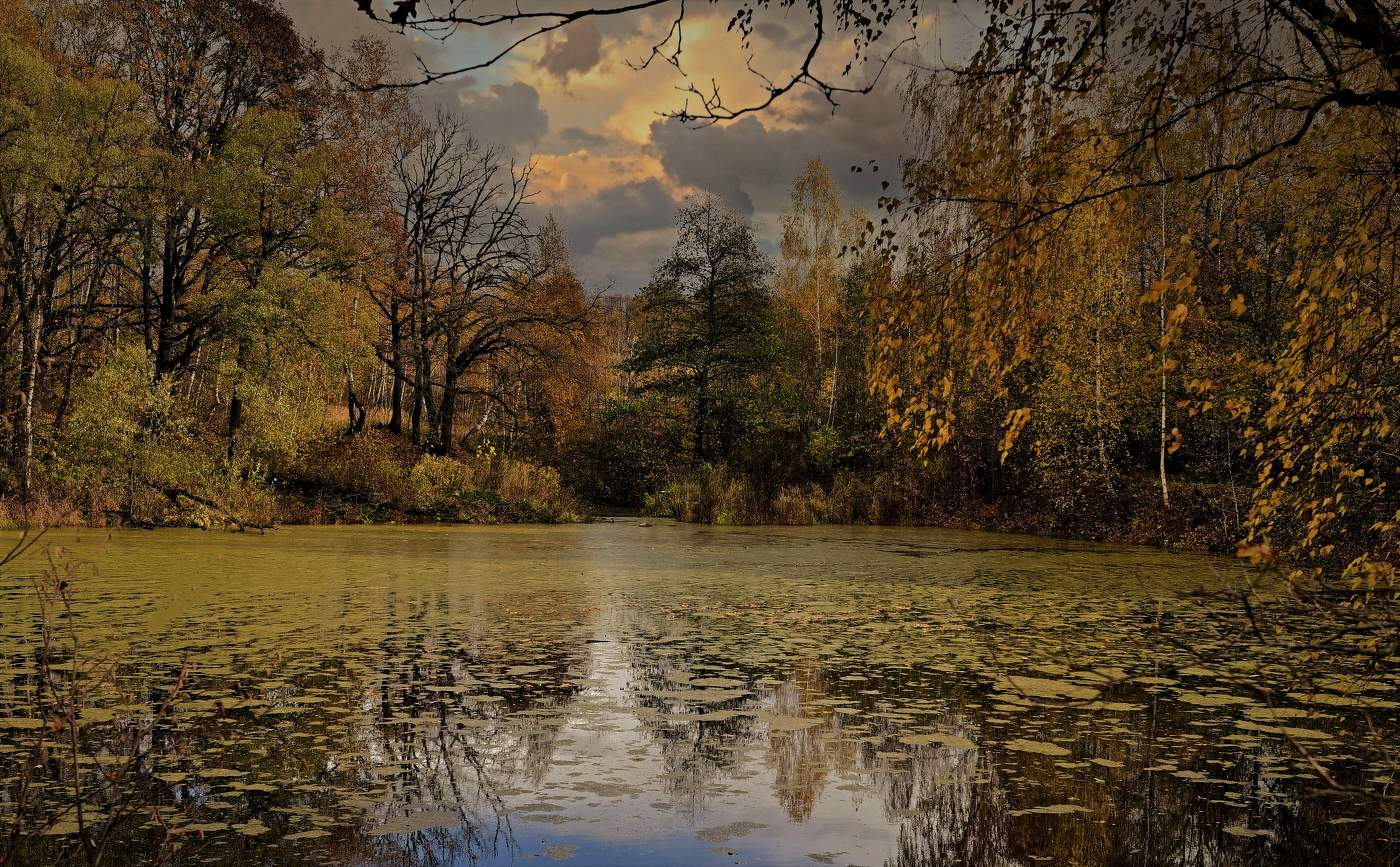 Тихий омут.