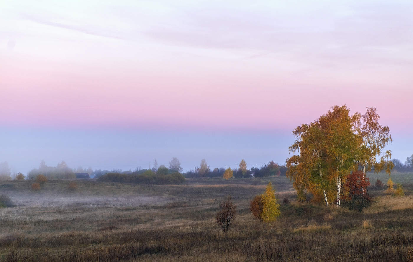 Три берёзки