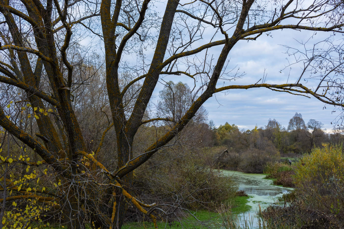 Под сенью осени...Октябрь.