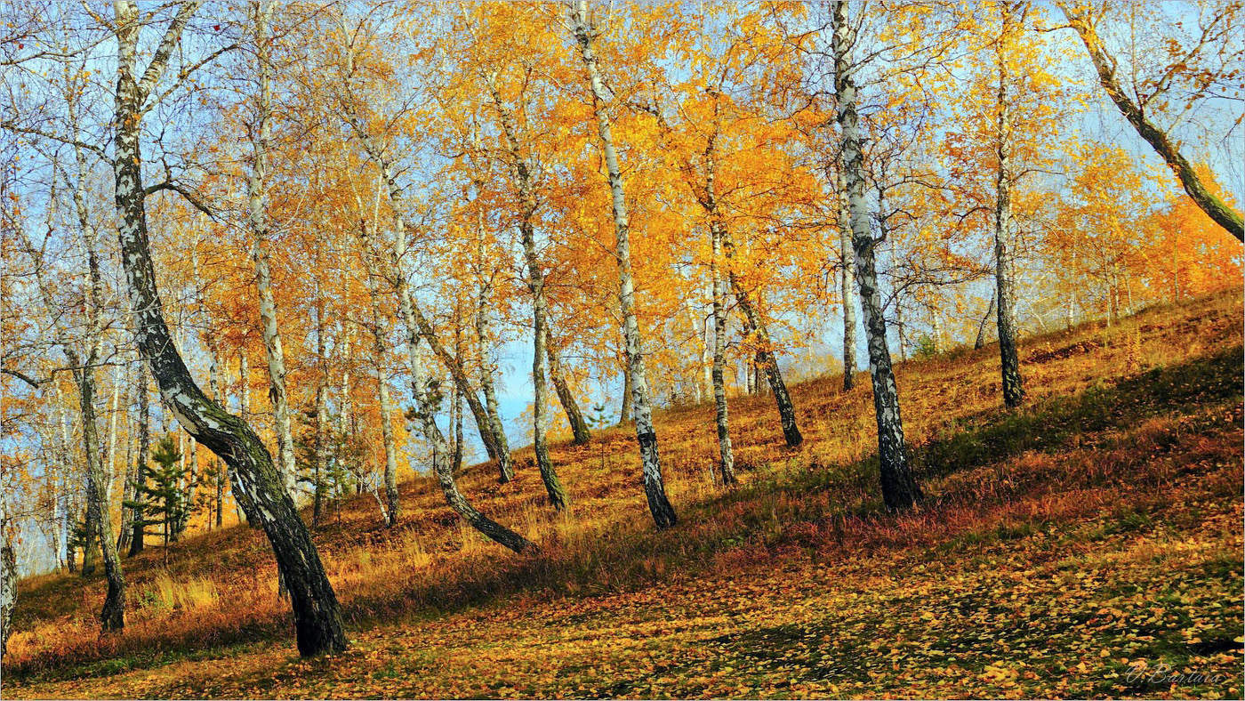 Ты прекрасна, осень!