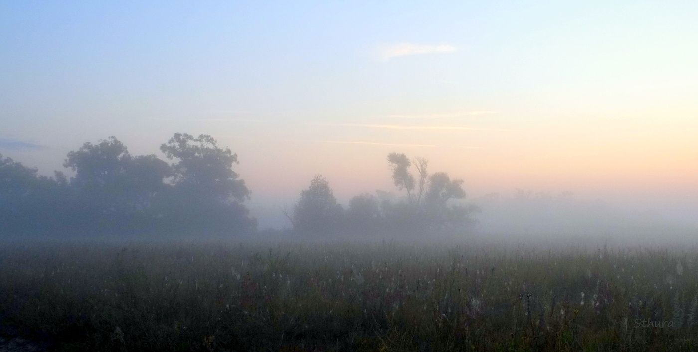 Летом в лугу.