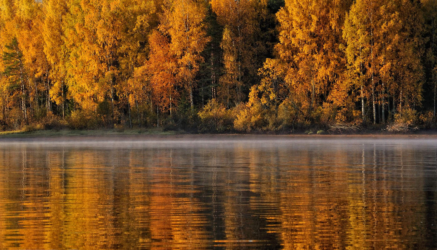 Последний наряд.