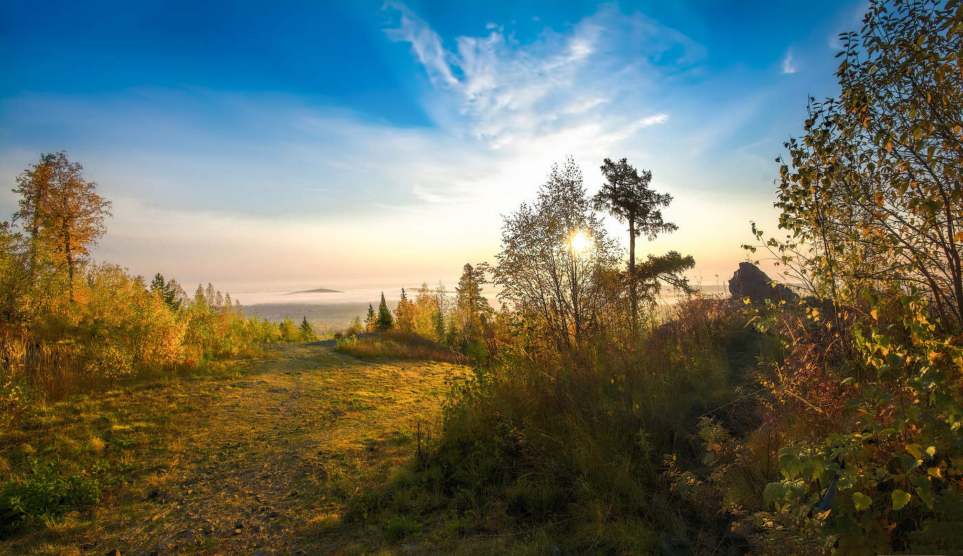 Солнечное утро