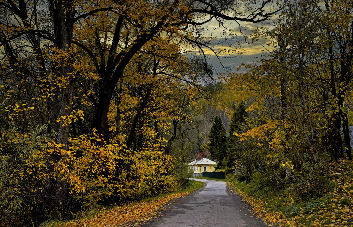 Золотая аллейка