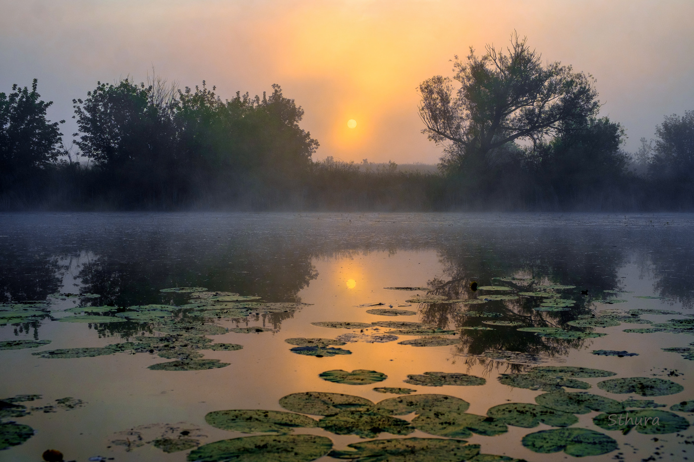 Лето, Студёное.