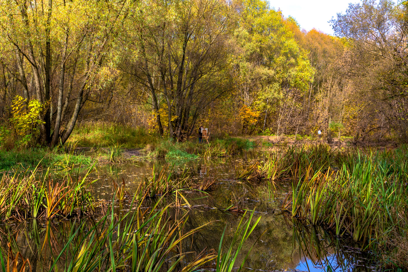 осень на Яузе