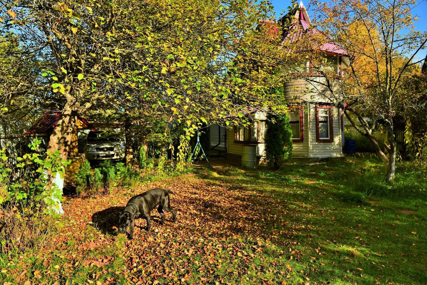 "Осень пришла незаметно, грустно шумя листвой..."