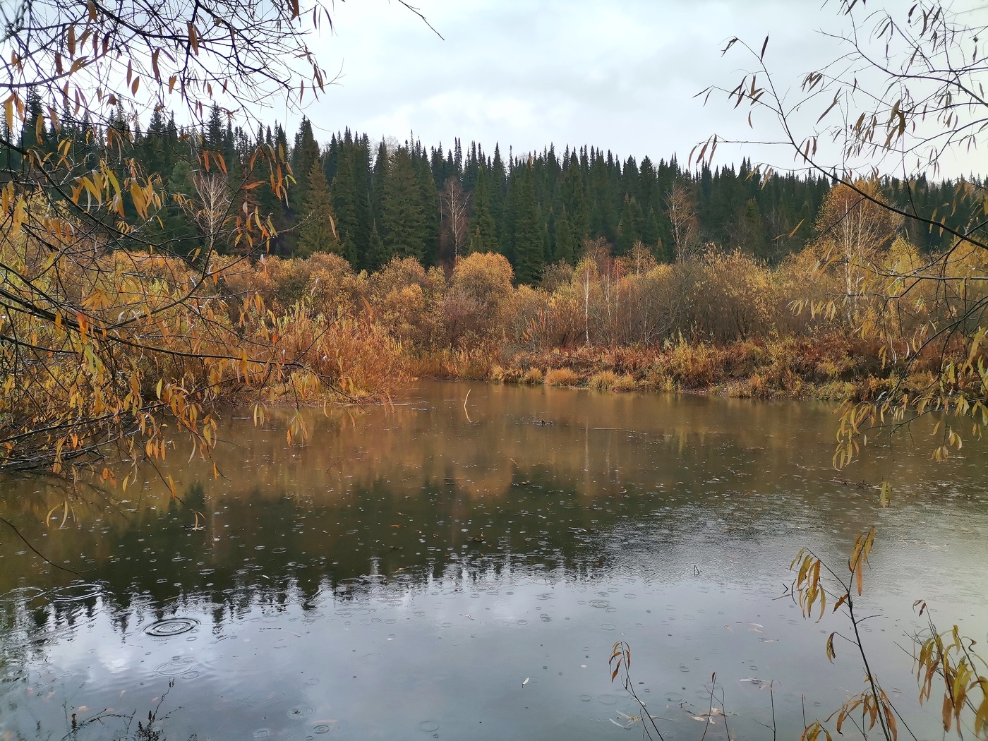 Осенние дожди