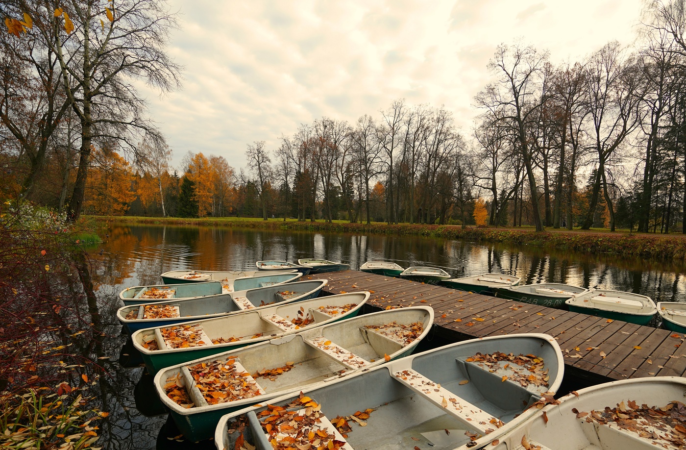 Конец сезона