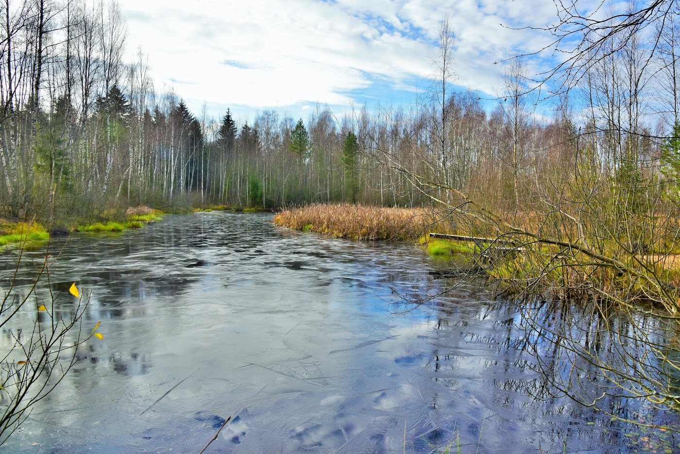 "По листьям опавшим деревья не плачут..."