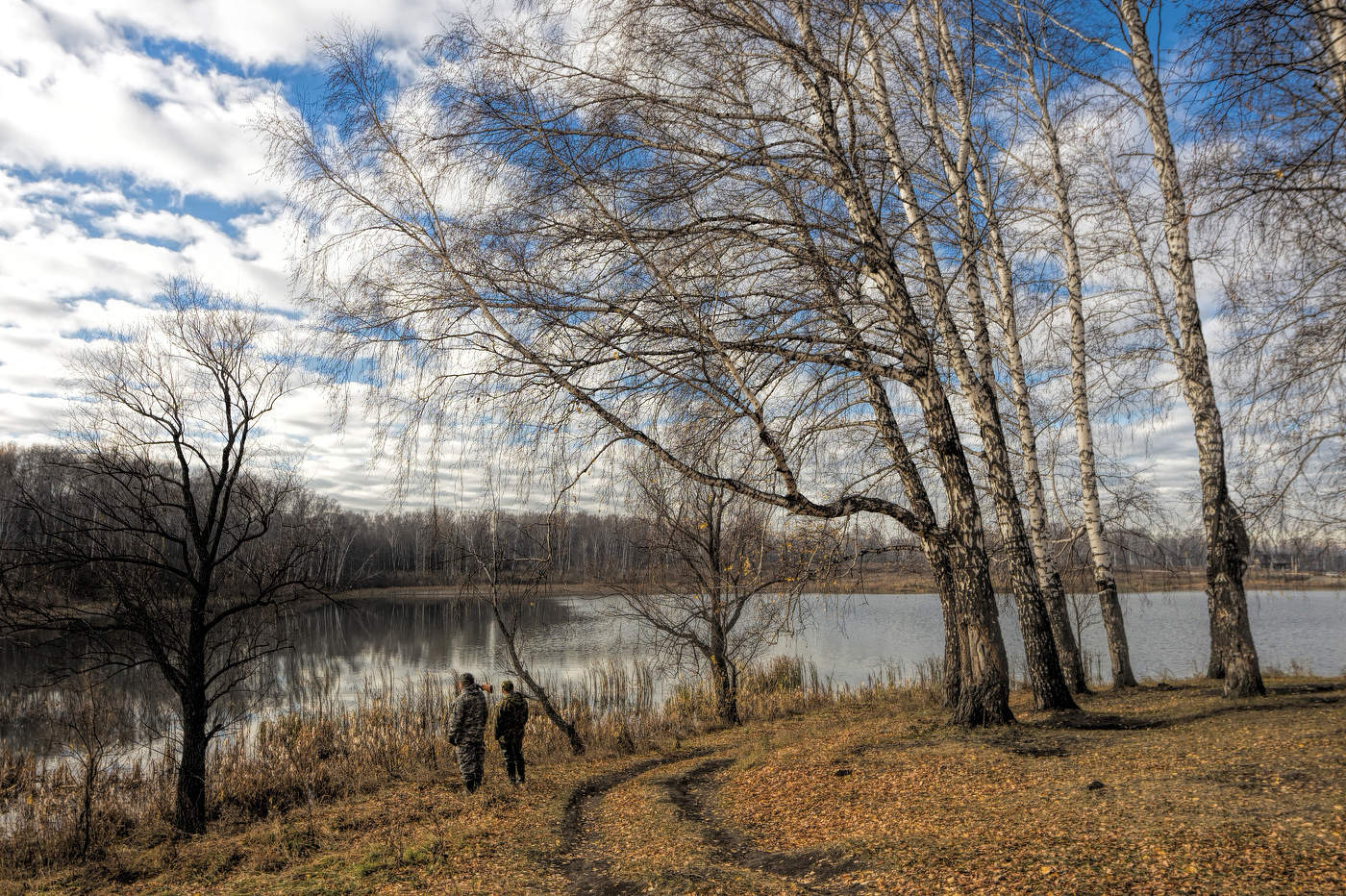 послушать тишину