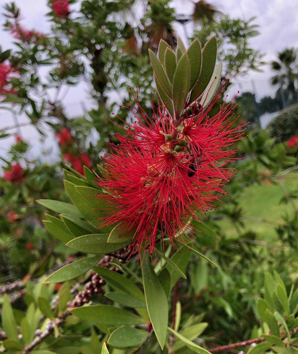 Осень в Сочи