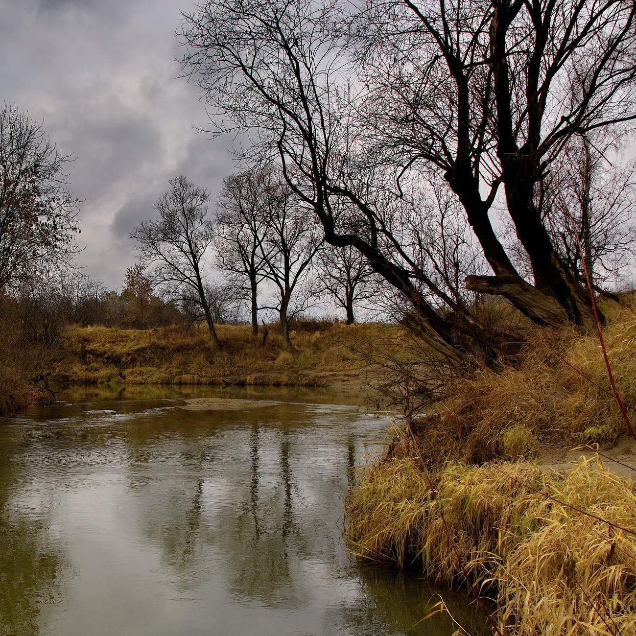 *Поздняя осень.**