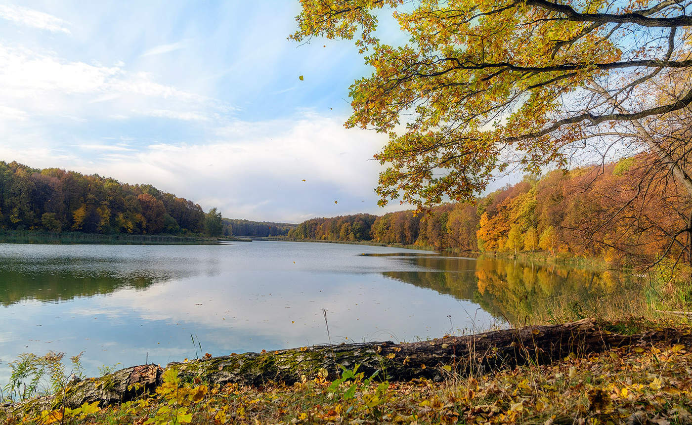 Краски осени.