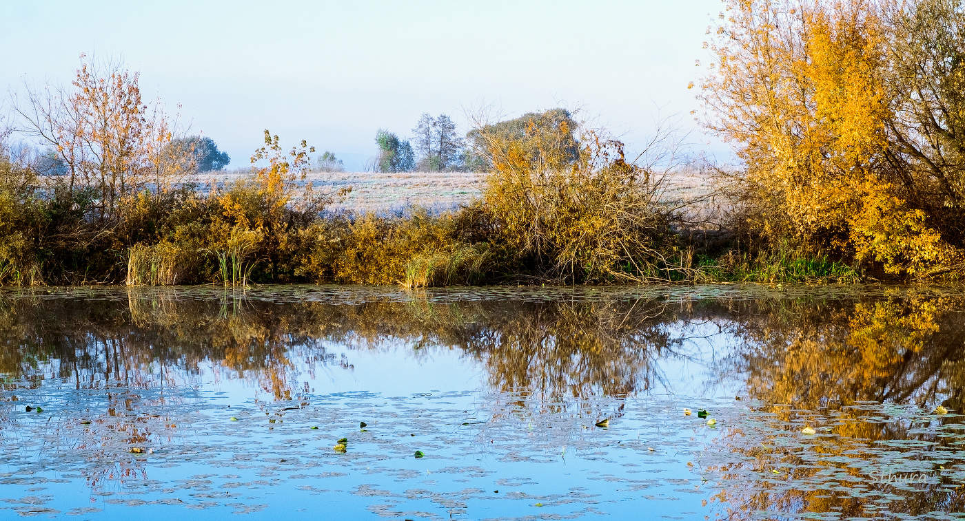 Утро в октябре.