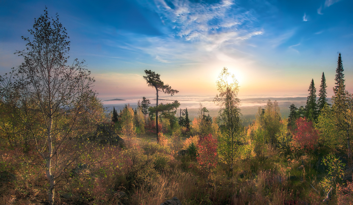 Пришел сентябрь, красками играя
