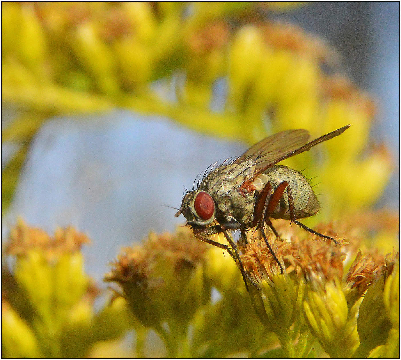 Успеть, пока светло.