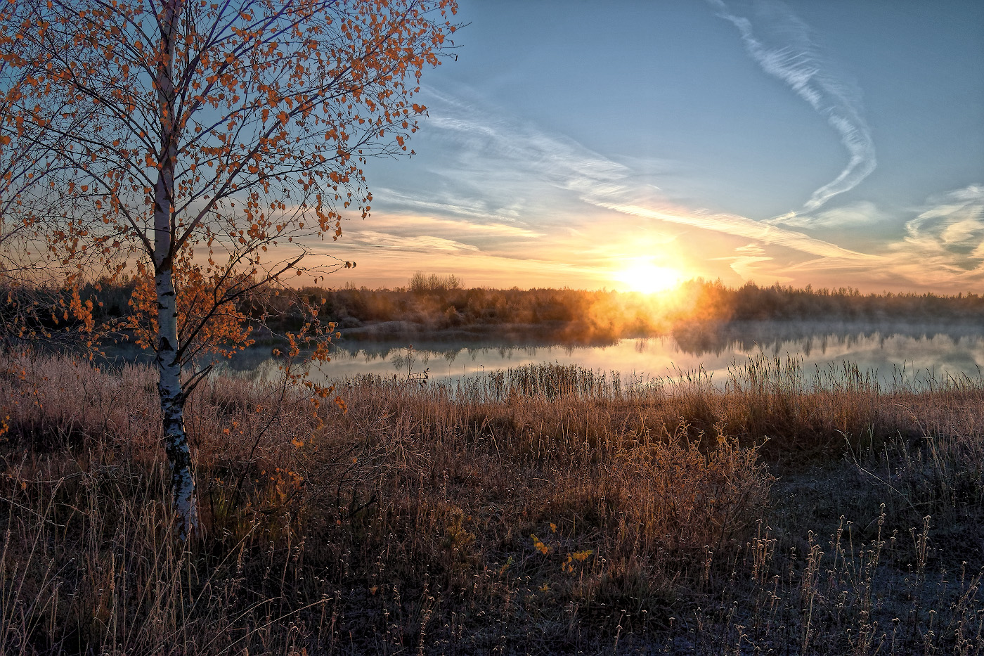 Этюд в розовом