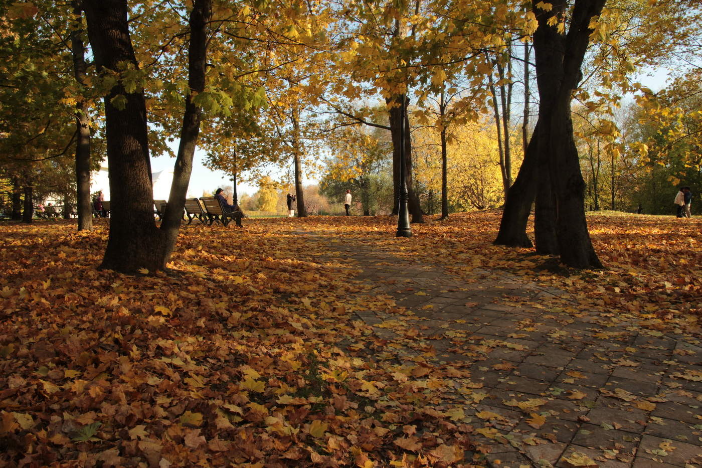 Солнечный день