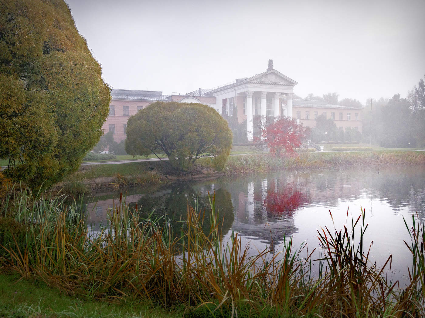 Главный ботанический сад