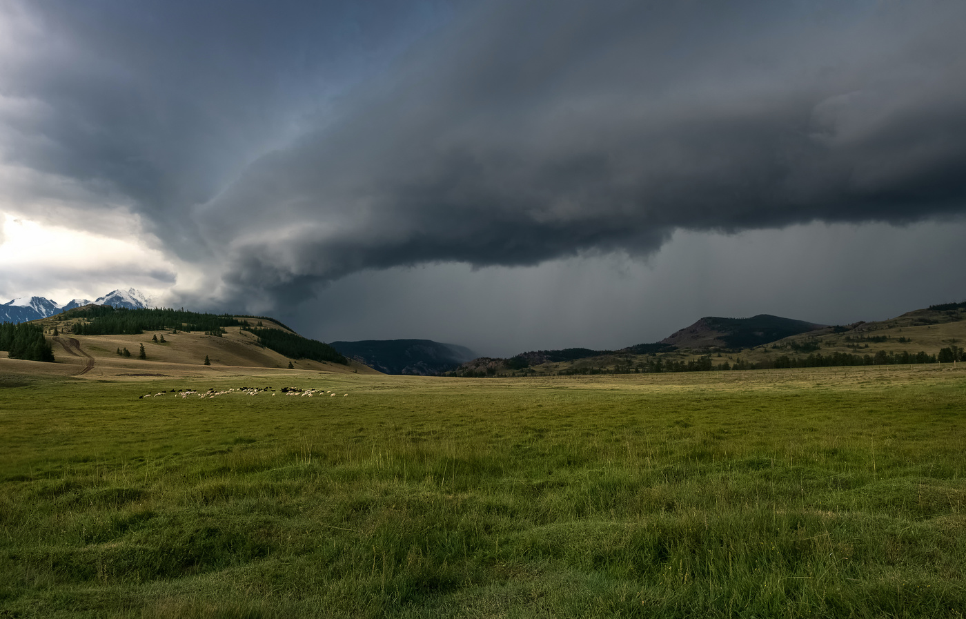 Небесная стихия