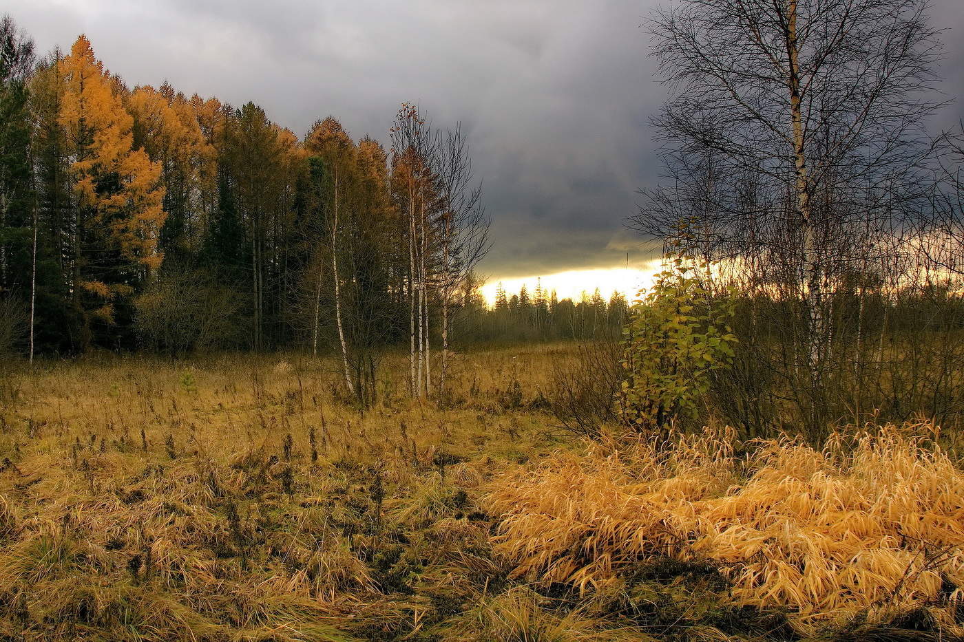 Поздняя осень.