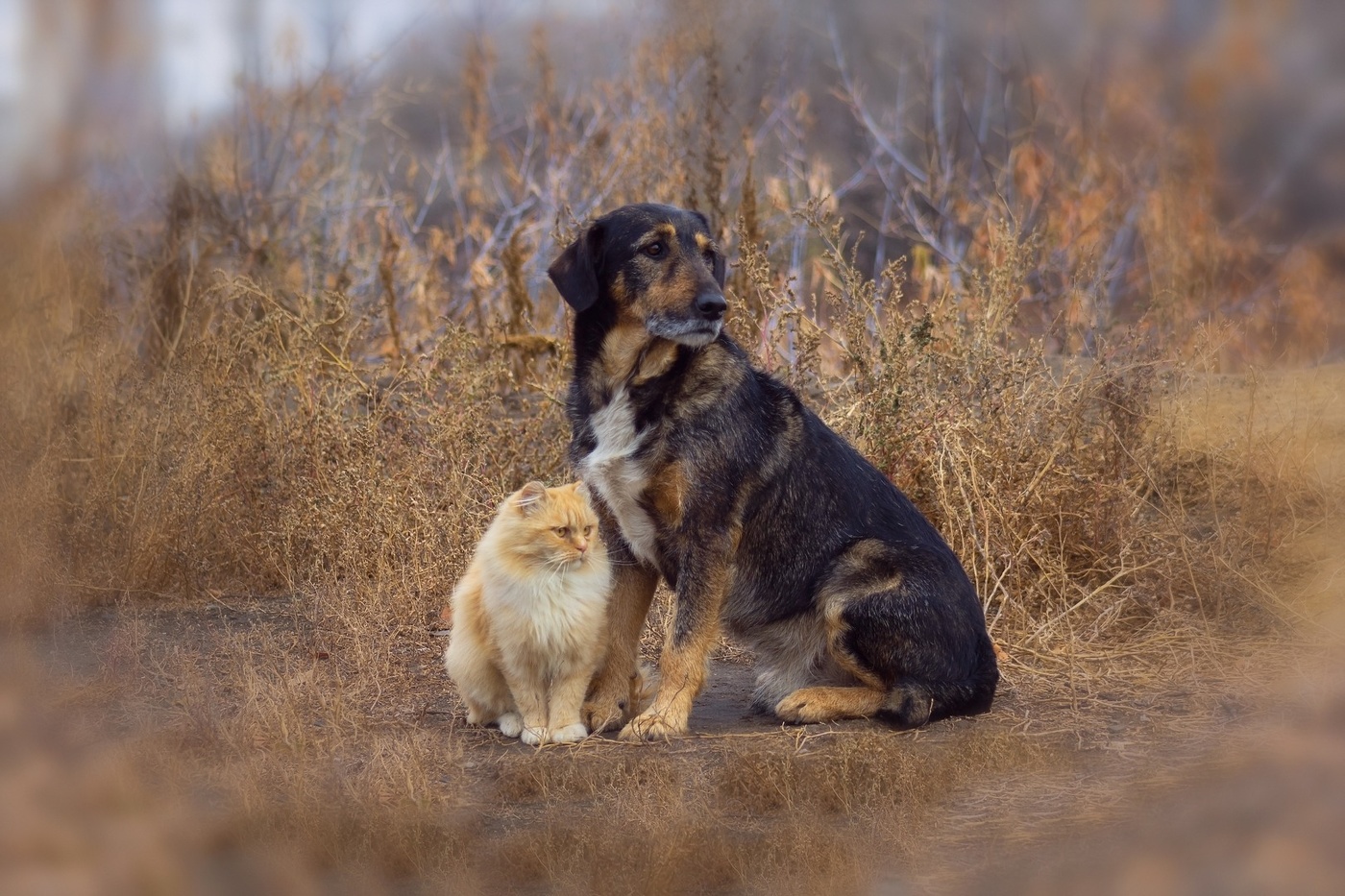 Групповой портрет на память