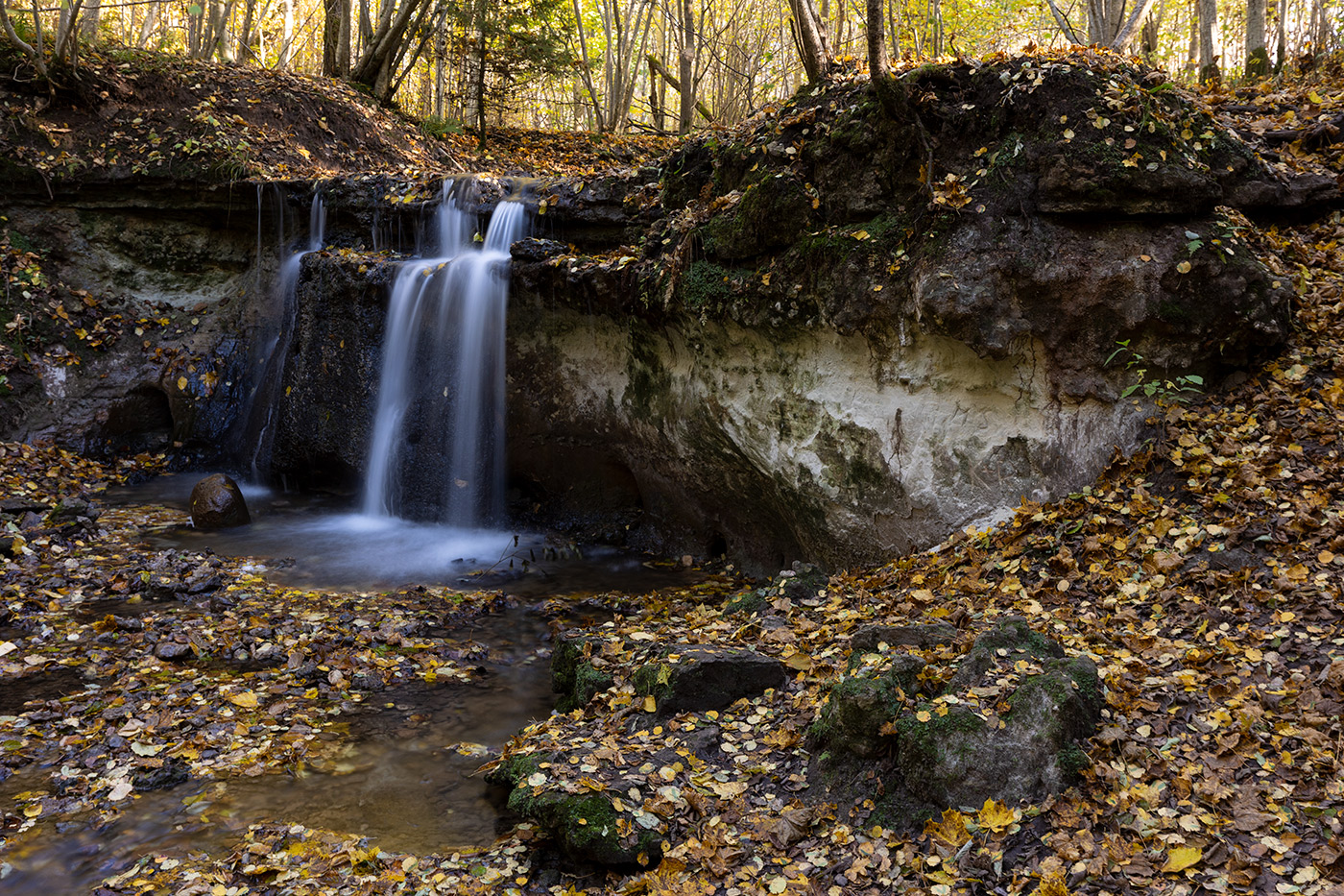 Осень запоздалая