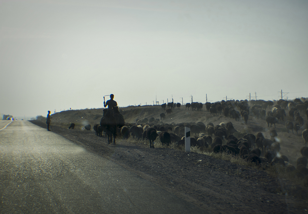 Подорожное