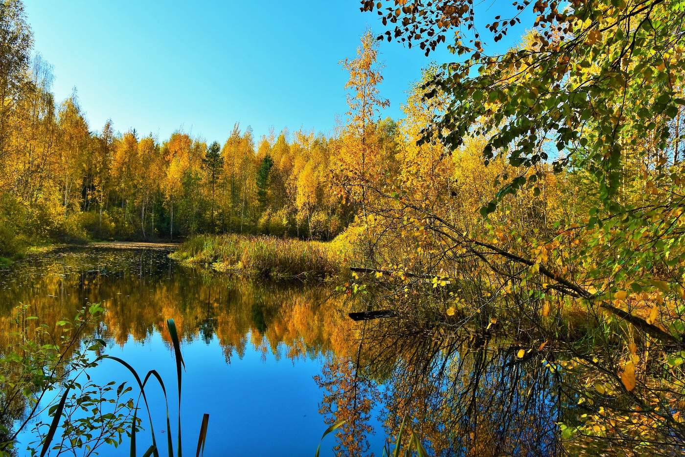 "Тишина - это лучший друг, проверенный ..."