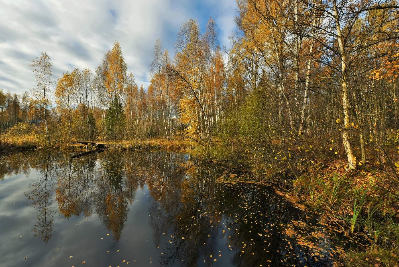 "А годы - как осенняя листва ..."