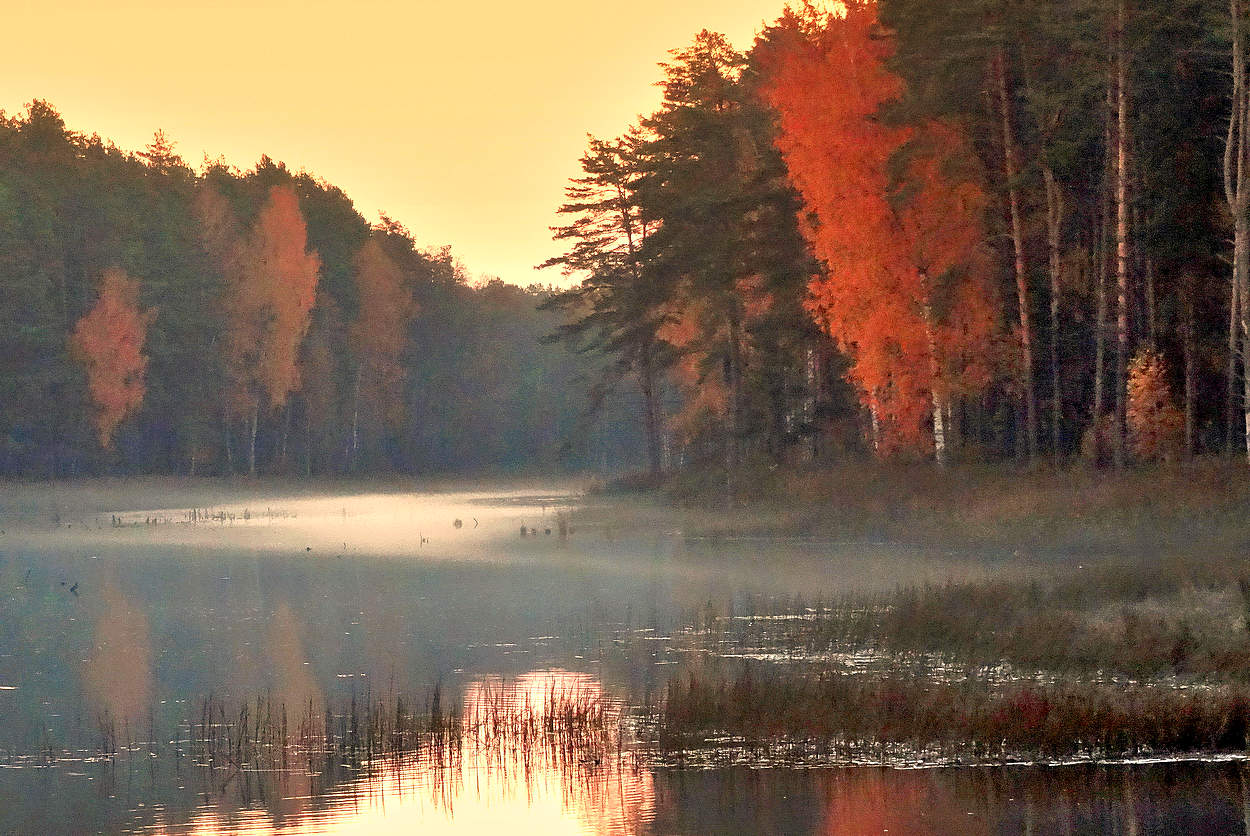 Октябрьская зарисовка