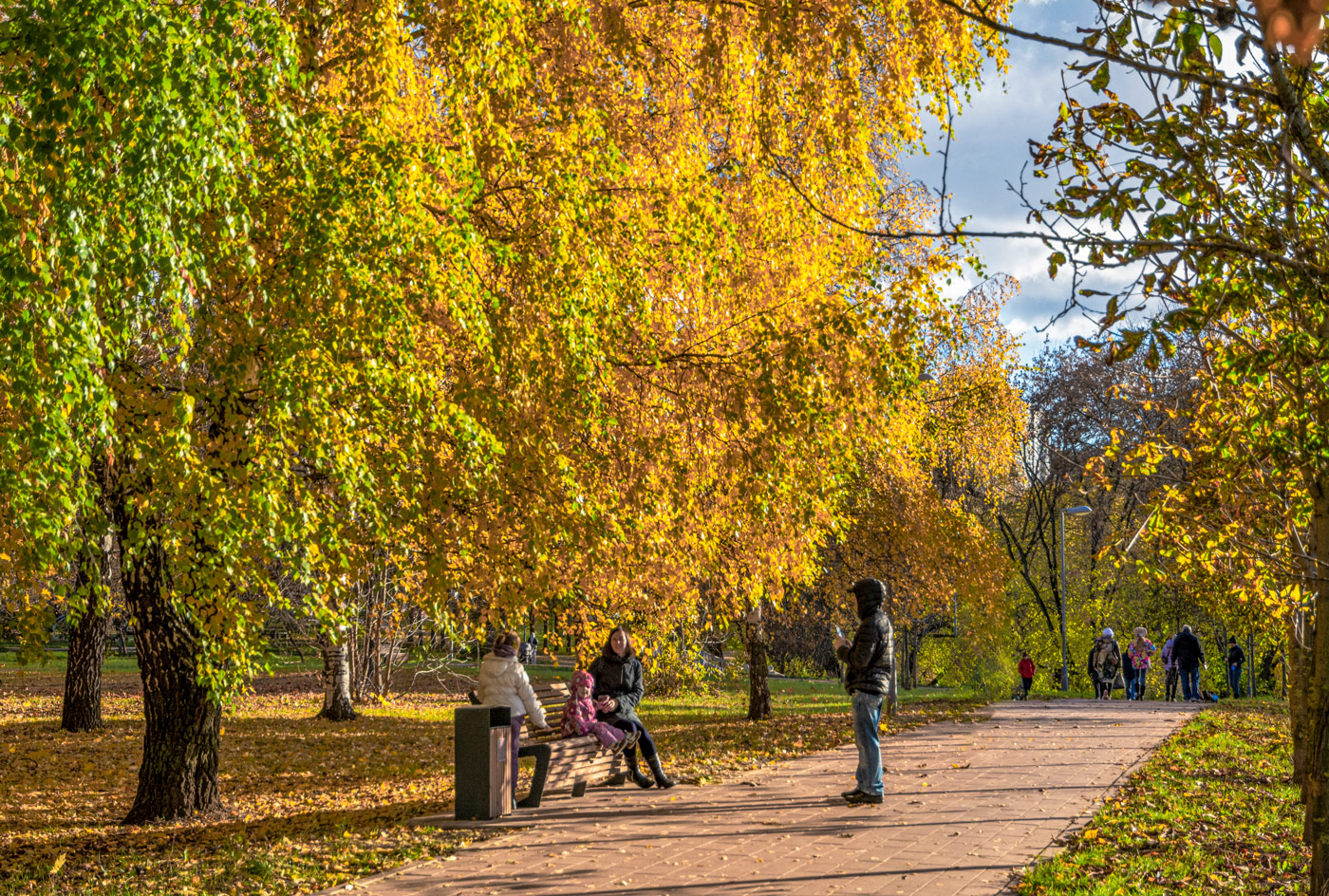 люблю я пышное природы увяданье...