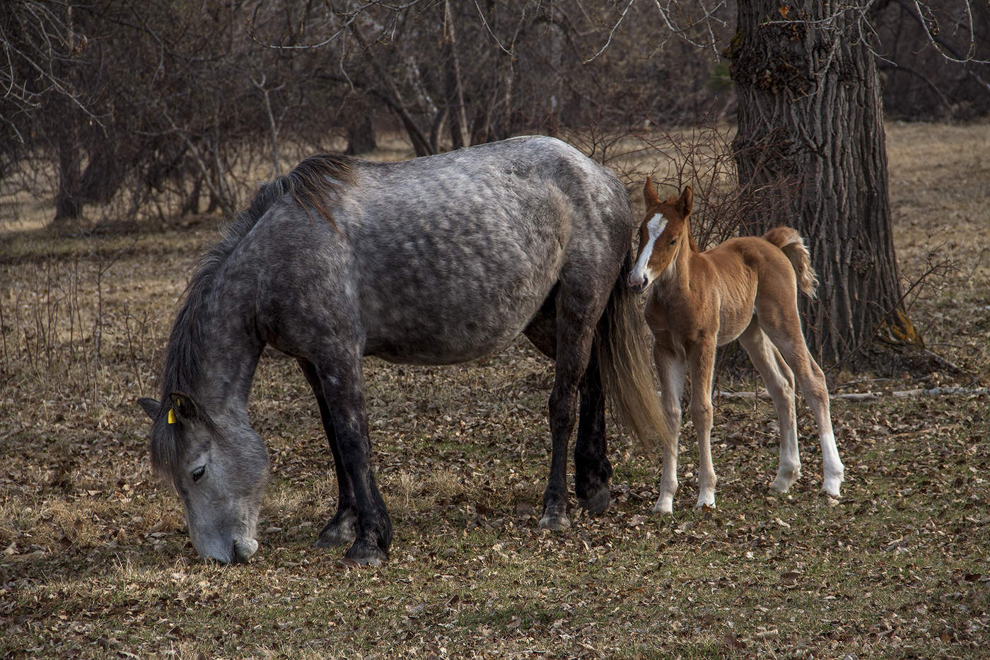 С мамой хорошо!