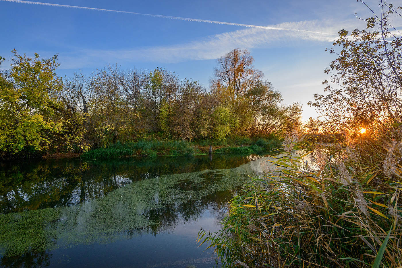Свияга река...