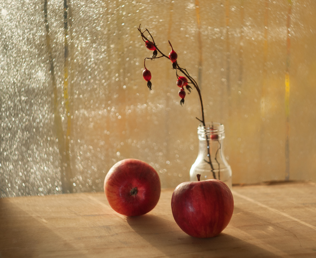 Осеннее утро