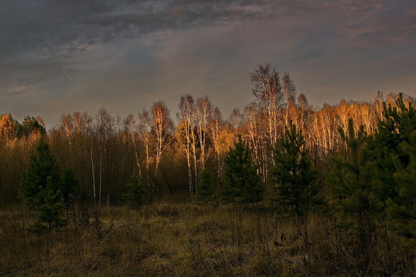 *На закате.**