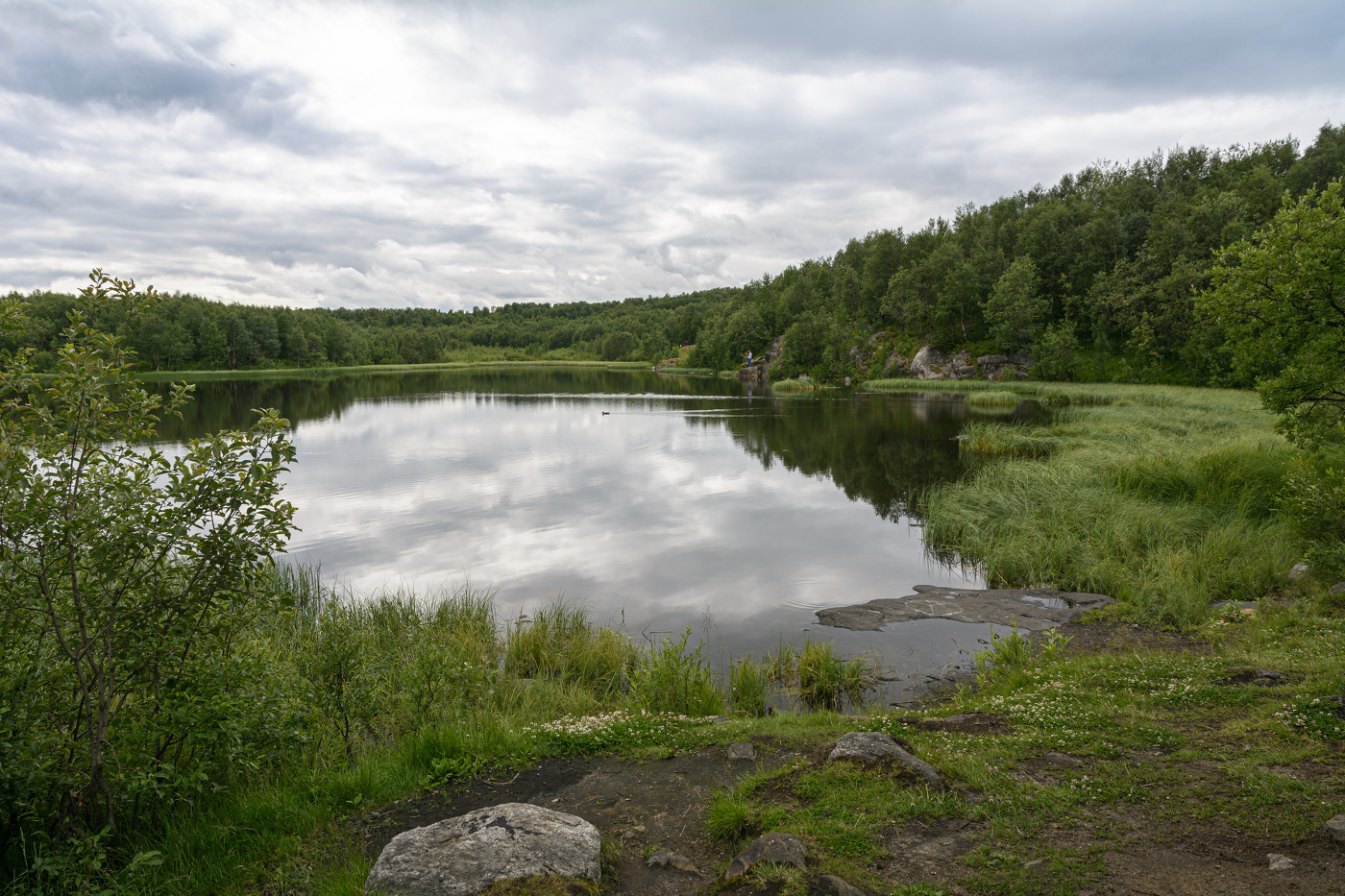 хмурый день