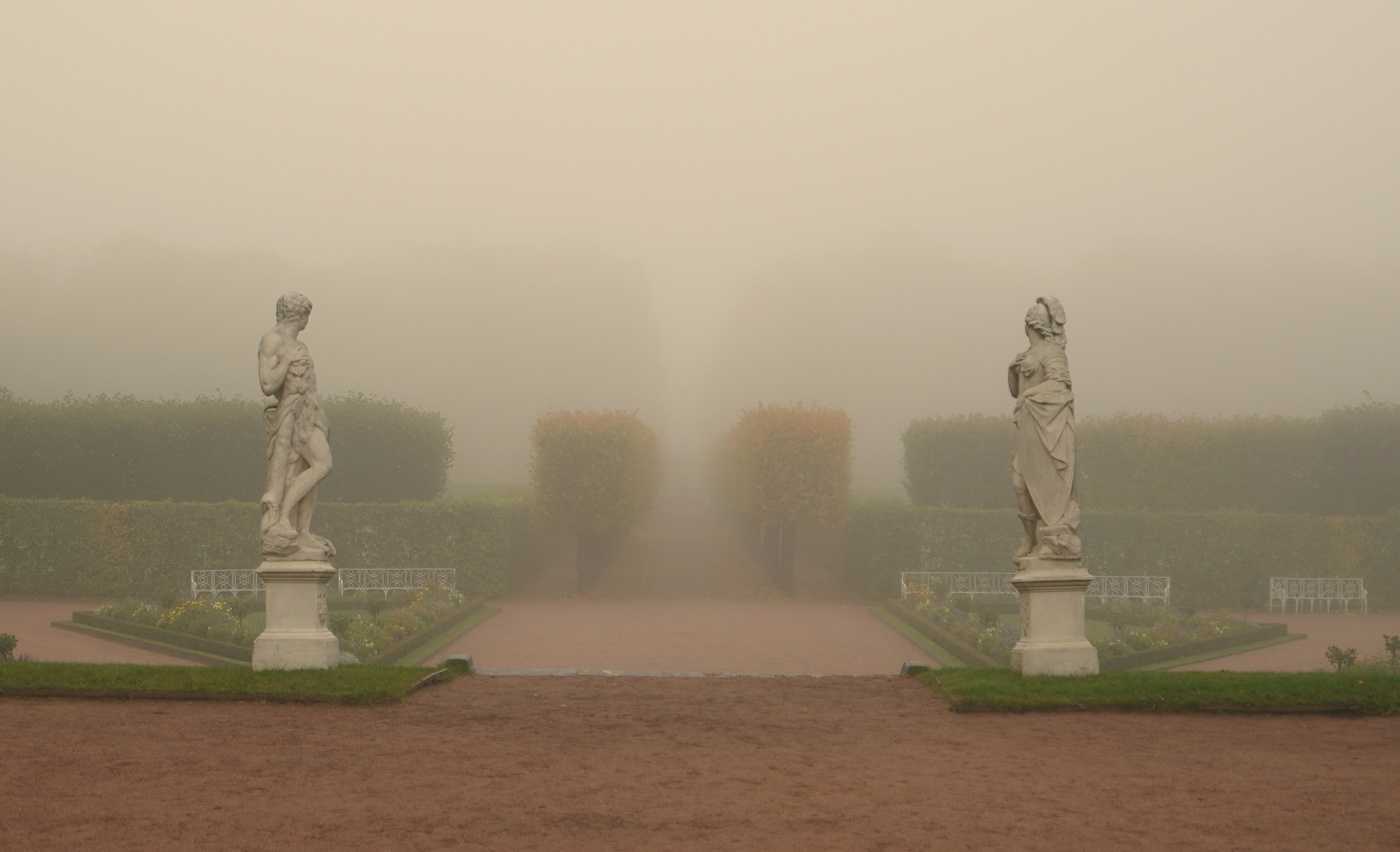 Туманное утро