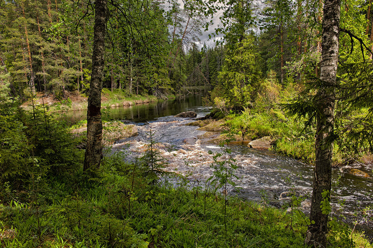 таежная речка